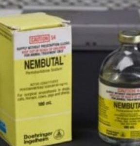 BUY NEMBUTAL LIQUID